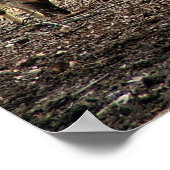 gazelle poster (Hoek)