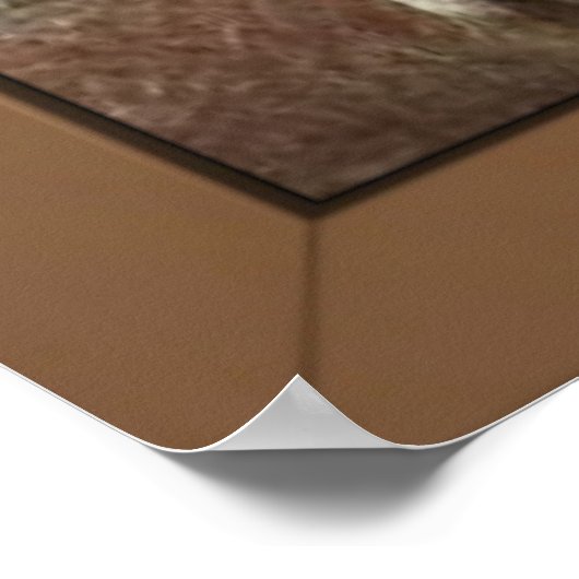 Gazelle Print (Hoek)