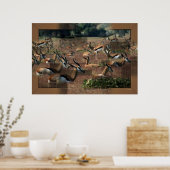 Gazelle Print (Keuken)