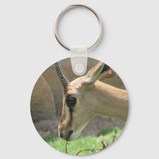 Gazelle Sleutelhanger (Voorkant)