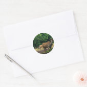 Gazelle, wilde dierentuin,羚. ronde sticker (Envelop)