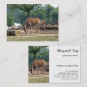 Gazelle, wilde dierentuin,羚. visitekaartje (Voorkant / Achterkant)