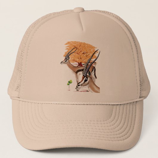 Gazelles in boom trucker pet (Voorkant)