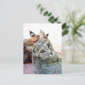 Gazely Stare |  Briefkaart (Staand voorkant)