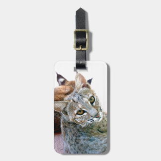 Gazely Stare | Label van Bobcat-bagage Bagagelabel