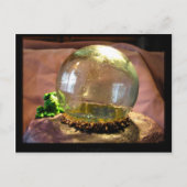 Gazer Briefkaart (Voorkant)