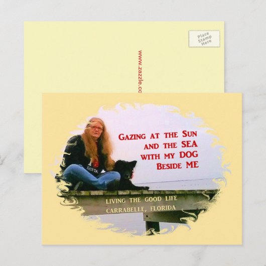 Gazing At The Sun Briefkaart (Voorkant / Achterkant)