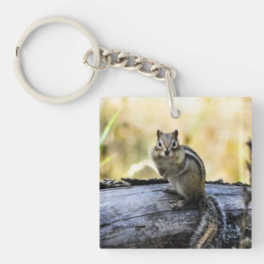 Gazing Chipmunk Sleutelhanger (voorkant)