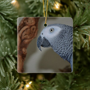 Gazing Congo African Gray Parrot Keramisch Ornament