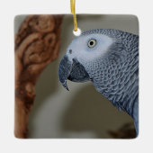 Gazing Congo African Gray Parrot Keramisch Ornament (Voorkant)
