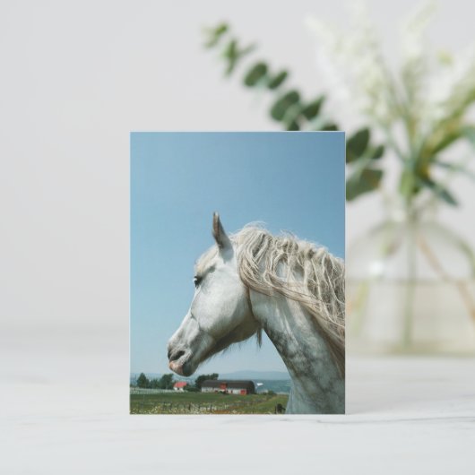 Gazing Dapped Grey Briefkaart (Staand voorkant)