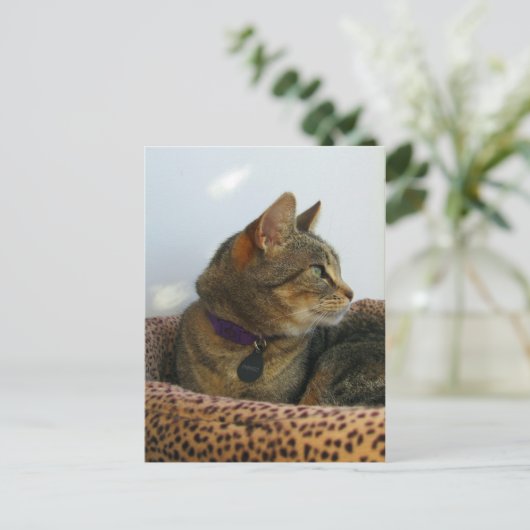 Gazing Indigo Briefkaart (Staand voorkant)