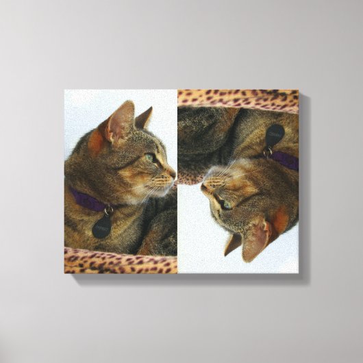 Gazing Indigo Canvas Afdruk (Voorkant)