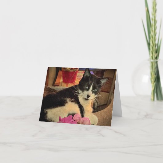 Gazing Lazily (een blanco kaart) Kaart (Voorkant)