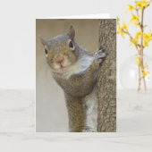 Gazing Squirrel Kaart (Gele Bloem)