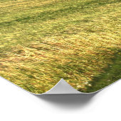 Gazing Upon Pemberley print (Hoek)