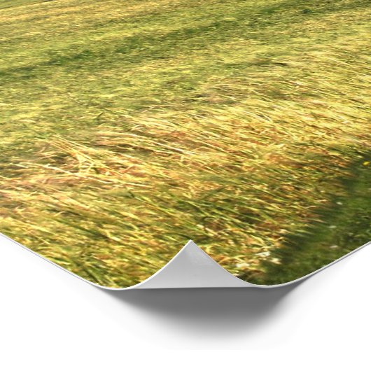 Gazing Upon Pemberley print (Hoek)