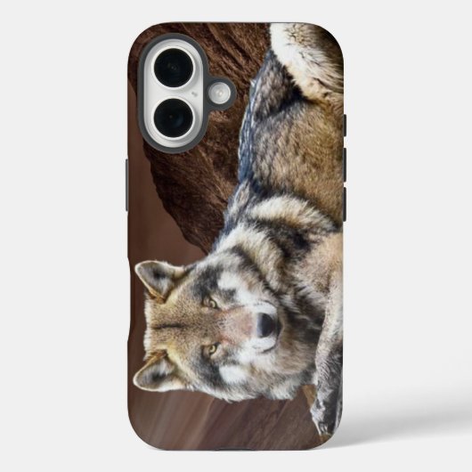 Gazing Wolf Apple iPhone 16 Hoesje (Achterkant)