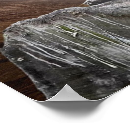 Gazing Wolf Poster (Hoek)