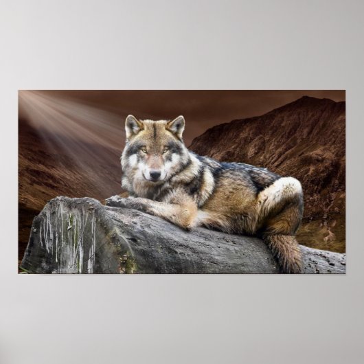 Gazing Wolf Poster (Voorkant)