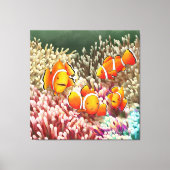 GB Print on canvas clown fish (Voorkant)