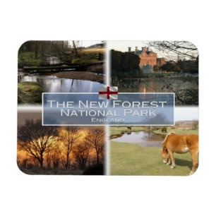 GB Verenigd Koninkrijk - Engeland - The New Forest Magneet