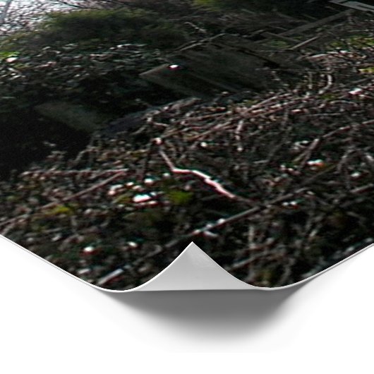 (GB) Windmolenafdrukken en Poster (Hoek)