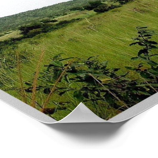 Gbomblora - Savannah - Poster (Hoek)