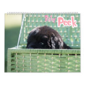 GCH Notta Beren prikkelde mijn interesse Kalender (Hoes)