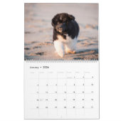 GCH Notta Beren prikkelde mijn interesse Kalender (Jan 2026)