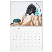 GCH Notta Beren prikkelde mijn interesse Kalender (Mar 2027)