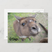 G'Day. Briefkaart (Voorkant / Achterkant)