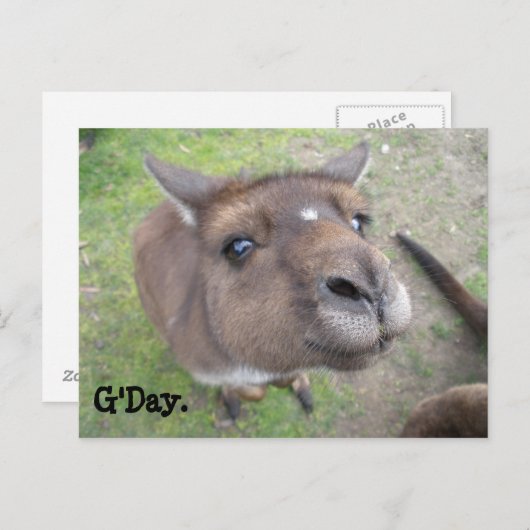 G'Day. Briefkaart (Voorkant / Achterkant)