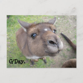 G'Day. Briefkaart