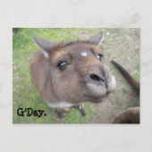 G'Day. Briefkaart (Voorkant)