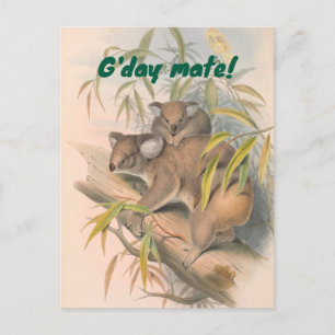 G'day Mate Australische Groet met Koala's Briefkaart