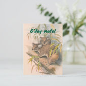 G'day Mate Australische Groet met Koala's Briefkaart (Staand voorkant)