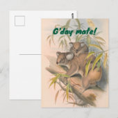 G'day Mate Australische Groet met Koala's Briefkaart (Voorkant / Achterkant)