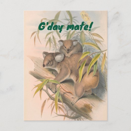 G'day Mate Australische Groet met Koala's Briefkaart (Voorkant)