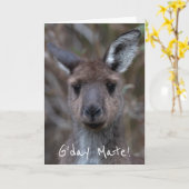 G'Day Mate Kangaroo Australia Kaart (Gele Bloem)