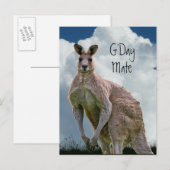 G'Day Mate Kangoeroe Briefkaart (Voorkant / Achterkant)