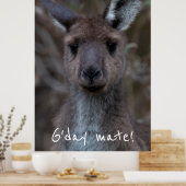 G'day Mate Western Gray Kangaroo Poster (Keuken)