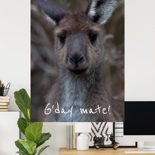 G'day Mate Western Gray Kangaroo Poster (Thuiskantoor)