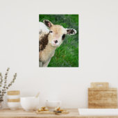 G'day! Poster (Keuken)