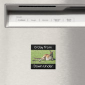 G'day van Down Under Kangaroo Magnet (Insitu (Vaatwasser))