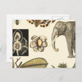 Geabsorbeerde dieren gekleurd op de achtergrond va briefkaart (Voorkant / Achterkant)