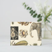 Geabsorbeerde dieren gekleurd op de achtergrond va briefkaart (Staand voorkant)