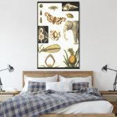 Geabsorbeerde dieren gekleurd op de achtergrond va canvas afdruk (Insitu (Slaapkamer))