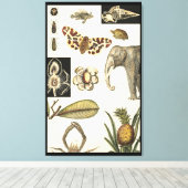 Geabsorbeerde dieren gekleurd op de achtergrond va canvas afdruk (Insitu (Houten vloer))