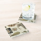 Geabsorbeerde dieren gekleurd op de achtergrond va glazen onderzetter (Schuin)